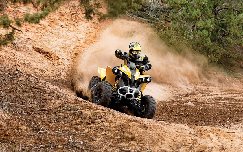 БРП Ренегат 500. BRP Renegade 500. Can-am atv 1000 Renegade. Квадроцикл БРП 800.